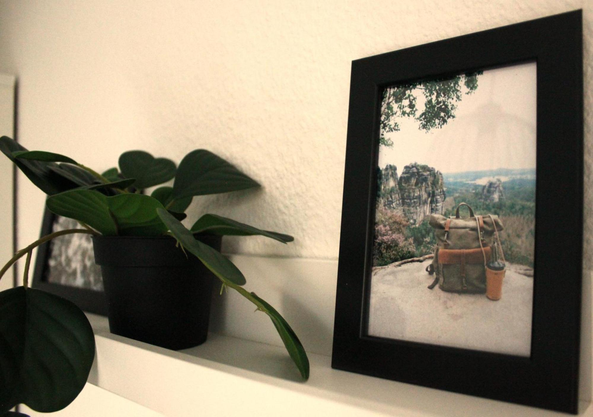 "Altjessen 57" Otel Pirna Dış mekan fotoğraf