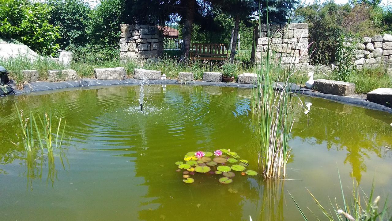 "Altjessen 57" Otel Pirna Dış mekan fotoğraf
